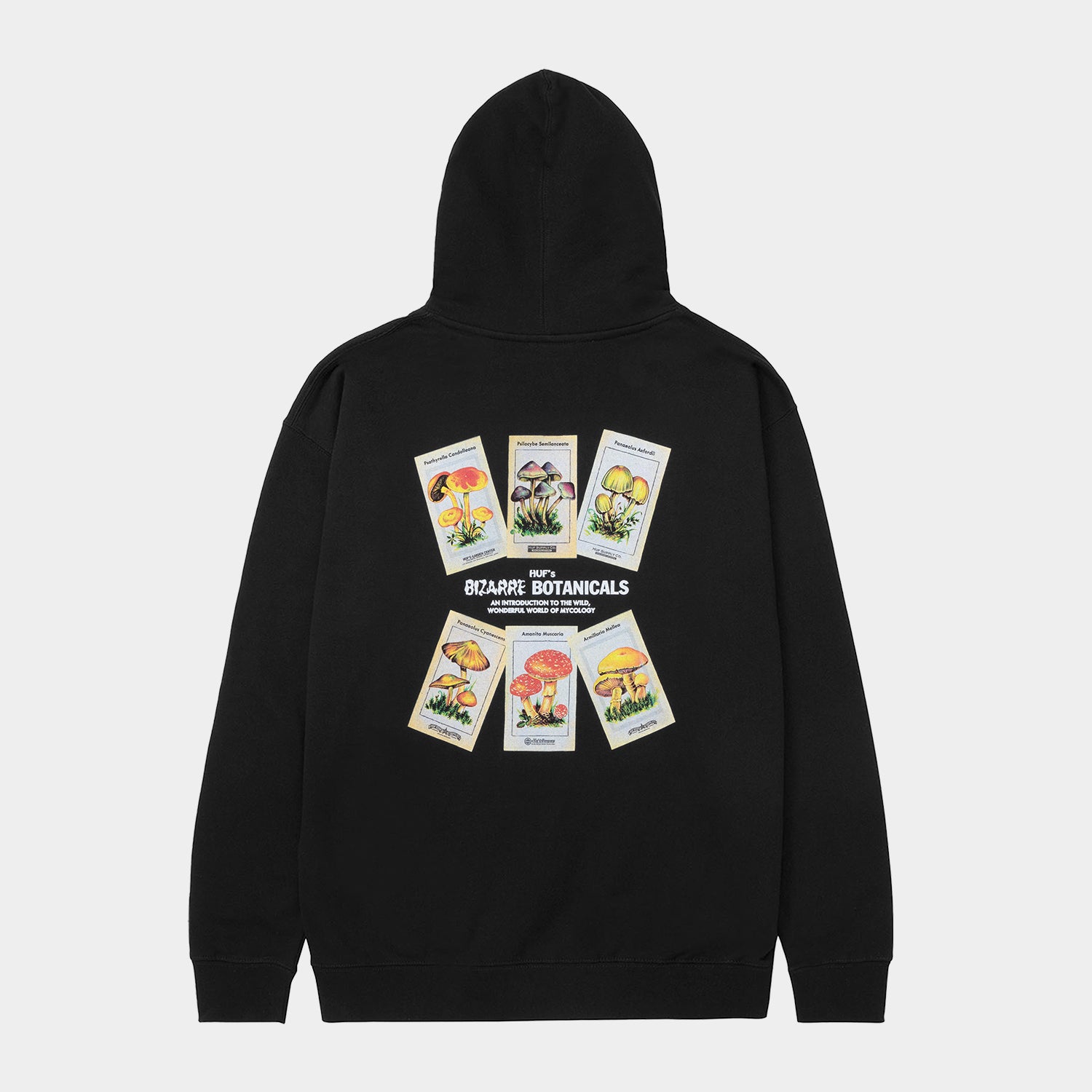 BIZARRE BOTANICALS HOODIE - HUF Worldwide JP